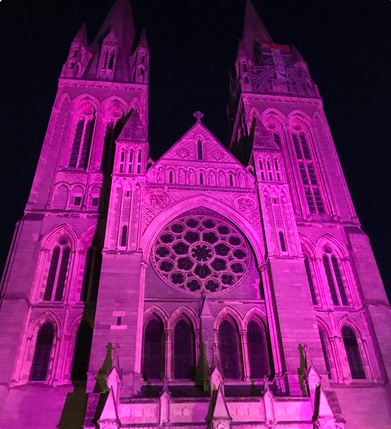 Cathedral in pink